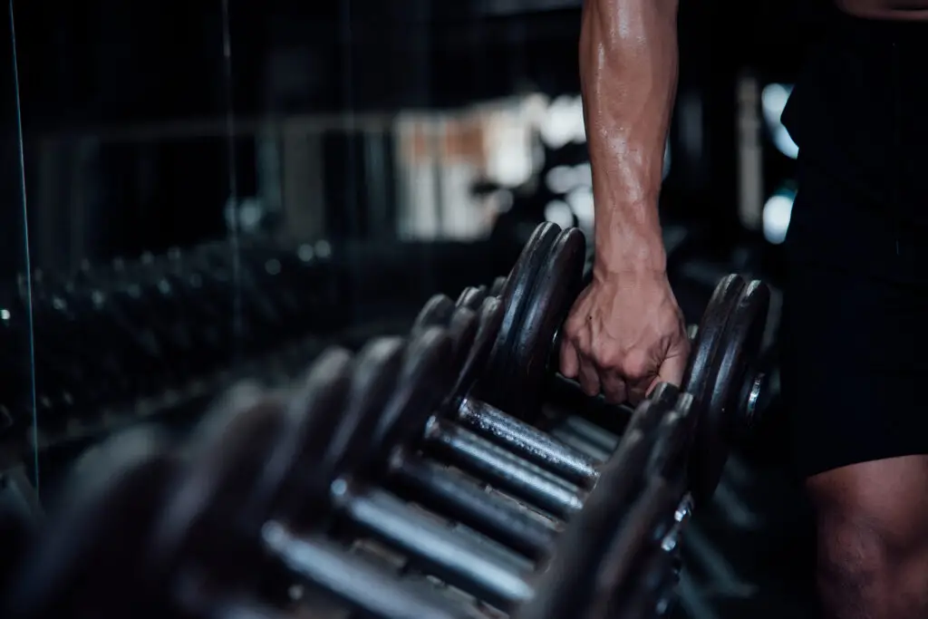 Musculação transforma rotinas e melhora a composição corporal