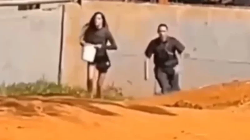 Recinto de elefante é invadido por mulher no Zoológico de Brasília