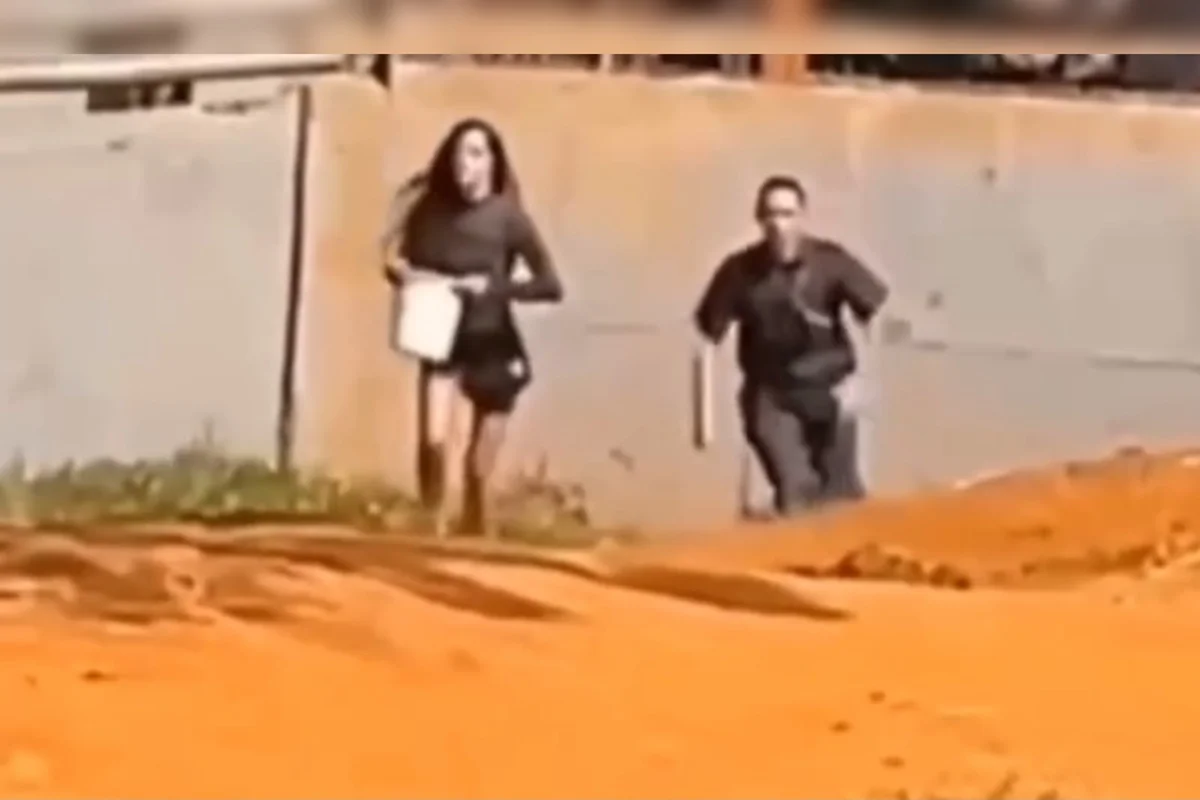 Recinto de elefante é invadido por mulher no Zoológico de Brasília