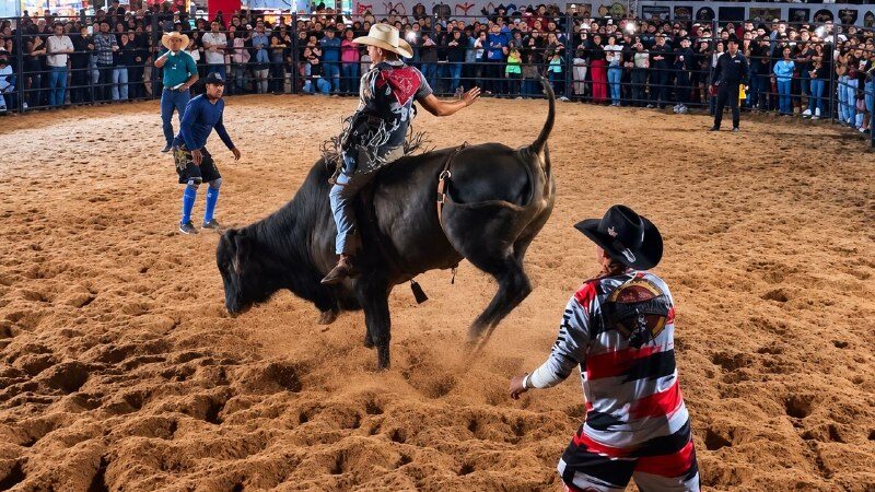 AGROSAT traz festa da agricultura com rodeio e shows