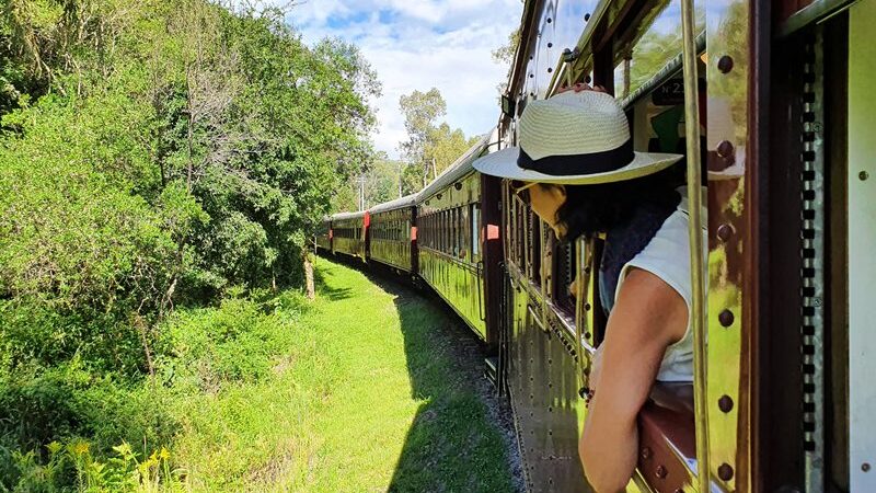 Serra Gaúcha recebe imersão feminina com vinhos