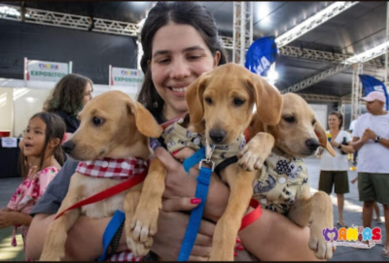 Manias Festival reúne atrações gratuitas para o público pet