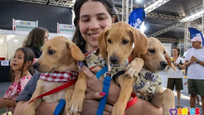 Manias Festival reúne atrações gratuitas para o público pet