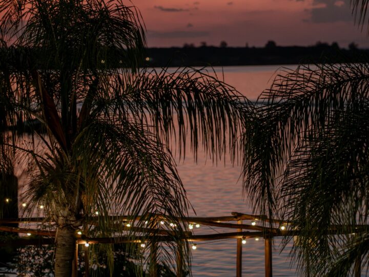 Cápsula Bar reúne pop rock e samba em evento à beira lago