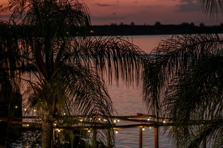 Cápsula Bar reúne pop rock e samba em evento à beira lago