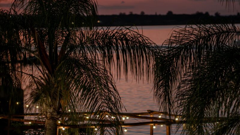 Cápsula Bar reúne pop rock e samba em evento à beira lago