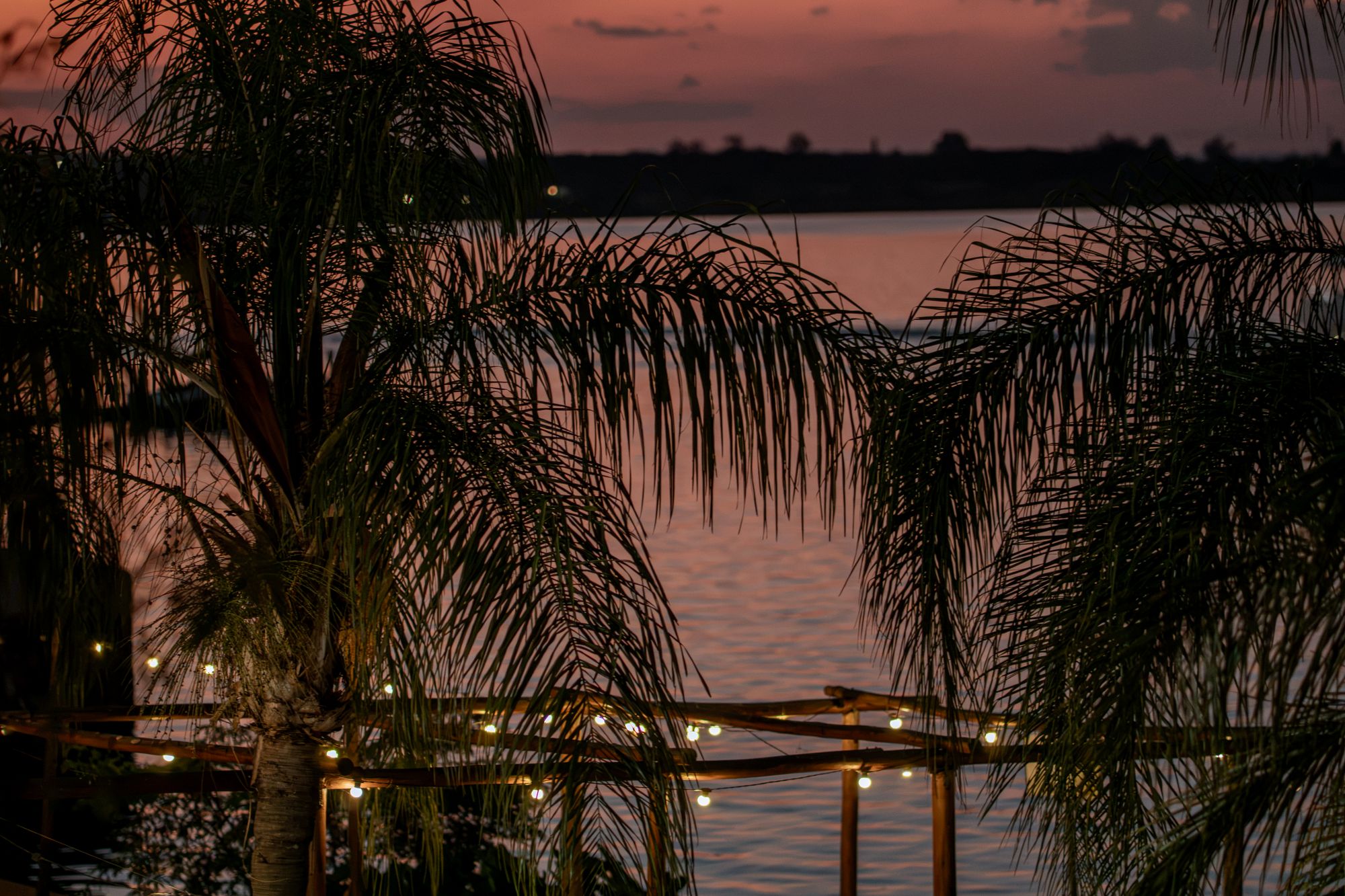 Cápsula Bar reúne pop rock e samba em evento à beira lago