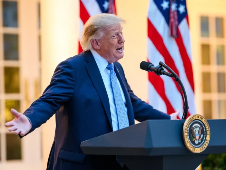Influenciadores recorrem a Donald Trump nas redes sociais
