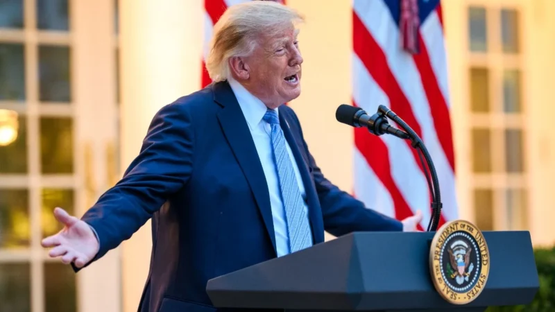 Influenciadores recorrem a Donald Trump nas redes sociais