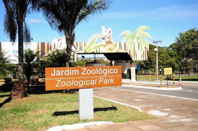 Zoológico de Brasília não abrirá no domingo de votação no DF
