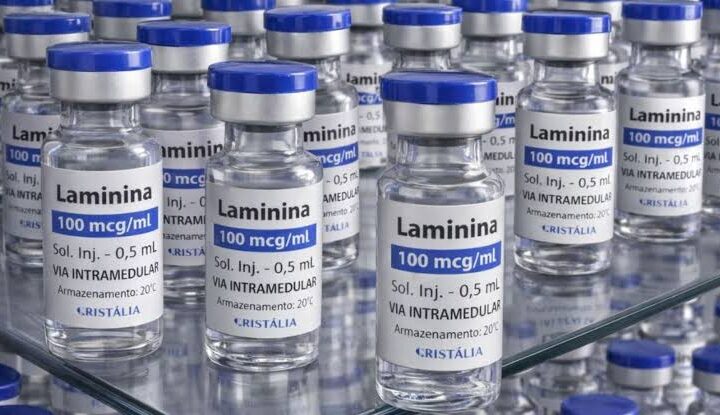 Anvisa mantém restrições à polilaminina e responde à UFRJ