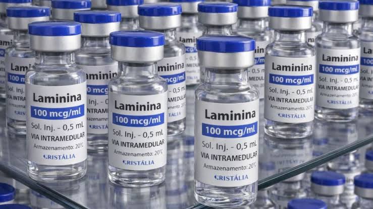 Anvisa mantém restrições à polilaminina e responde à UFRJ
